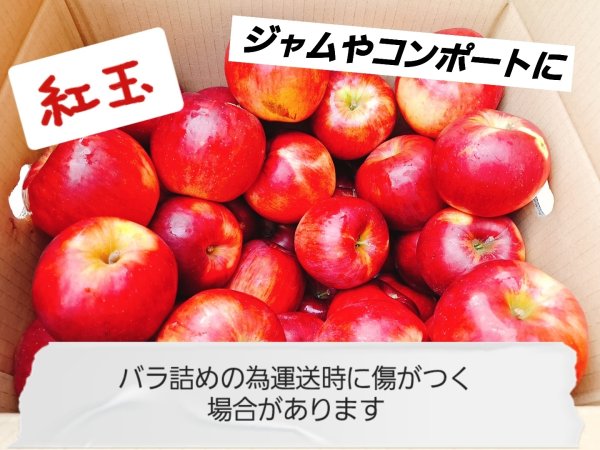 画像1: 加工用バラ詰めりんご  送料無料!【紅玉】10kg (1)