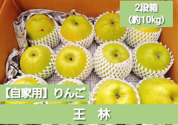 画像1: 【配送日指定不可！りんごが収穫出来たら発送！】オトクな自家用りんご　着日指定不可・送料無料！　王林　約10kg (1)