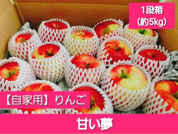 画像1: 【配送日指定不可！りんごが収穫出来たら発送！】オトクな自家用りんご　着日指定不可・送料無料！甘い夢約5kg (1)