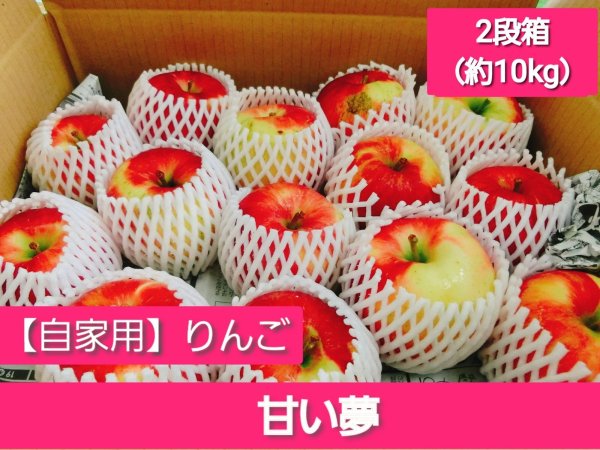 画像1: 【配送日指定不可！りんごが収穫出来たら発送！】オトクな自家用りんご　着日指定不可・送料無料！甘い夢約10kg (1)