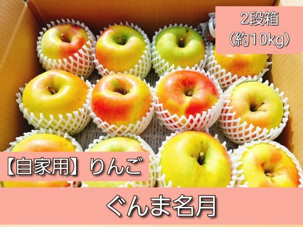 画像1: 【配送日指定不可！りんごが収穫出来たら発送！】オトクな自家用りんご　着日指定不可・送料無料！　ぐんま名月　約10kg (1)