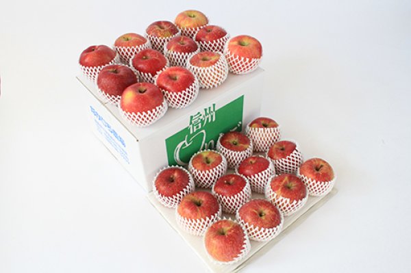 画像3: 【配送日指定不可！りんごが収穫出来たら発送！】オトクな自家用りんご　着日指定不可・送料無料！サンふじ約10kg (3)