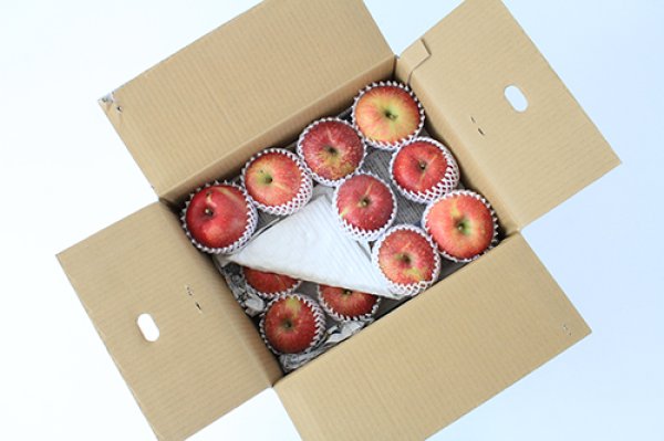 画像2: 【配送日指定不可！りんごが収穫出来たら発送！】オトクな自家用りんご　着日指定不可・送料無料！サンふじ約10kg (2)