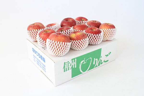 画像2: 【配送日指定不可！りんごが収穫出来たら発送！】オトクな自家用りんご　着日指定不可・送料無料！サンふじ約5kg (2)