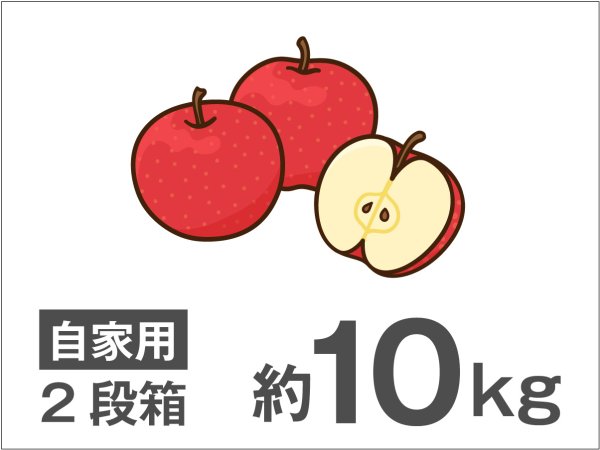 画像1: 【配送日指定不可！りんごが収穫出来たら発送！】オトクな自家用りんご　着日指定不可・送料無料！　秋映　約10kg (1)